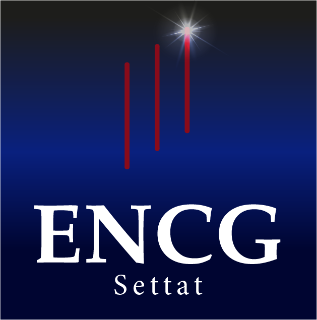Logo Ecole Nationale de Commerce et de Gestion